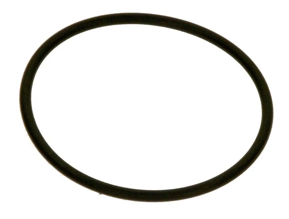Schwarzer O-Ring auf weißem Hintergrund, typisches Teil für Pumpenanwendungen, möglicherweise von Bosch.